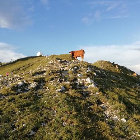 Cahute De Montagne Pour Profiter Du Haut Jura Prémanon Zewnętrze zdjęcie