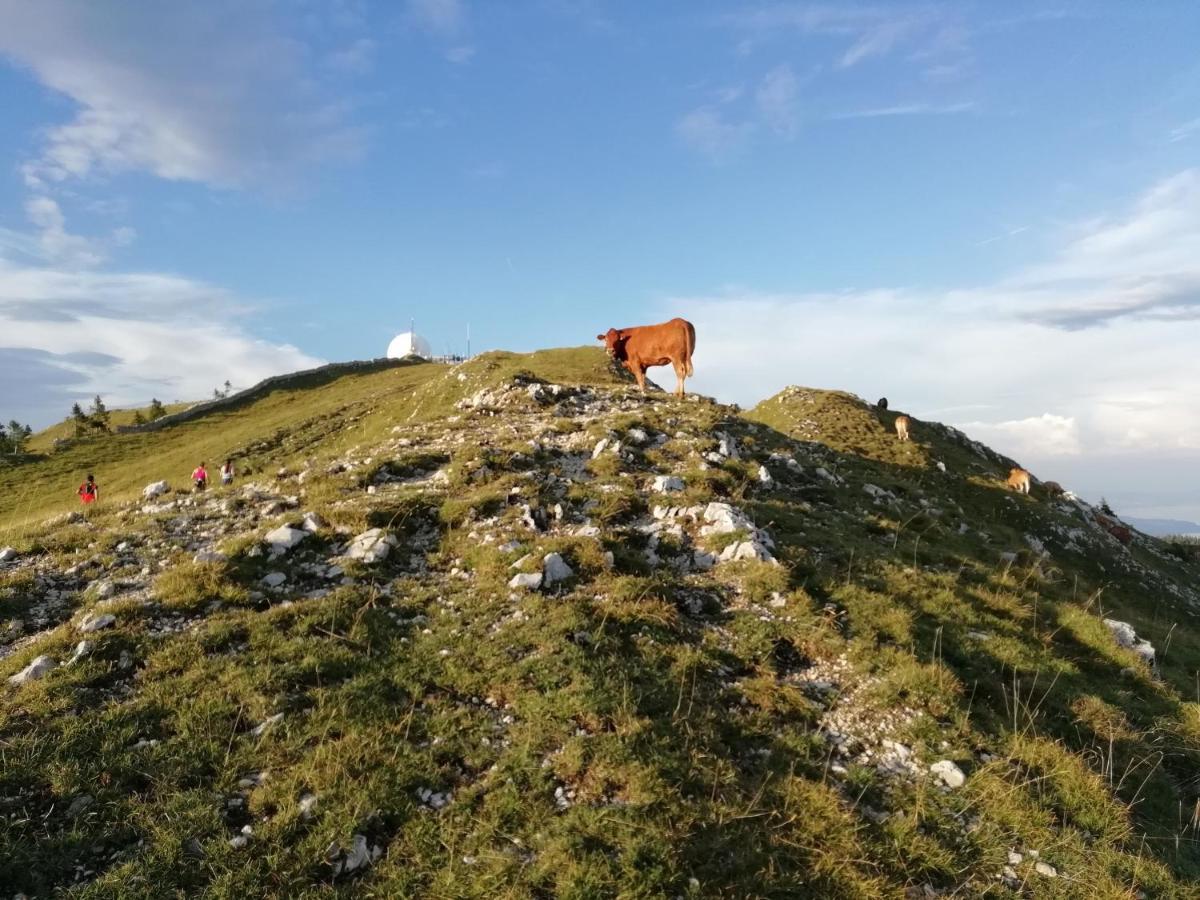Cahute De Montagne Pour Profiter Du Haut Jura Prémanon Zewnętrze zdjęcie