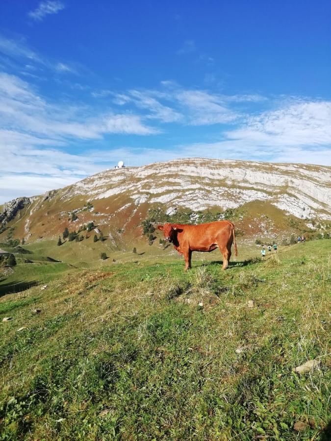 Cahute De Montagne Pour Profiter Du Haut Jura Prémanon Zewnętrze zdjęcie