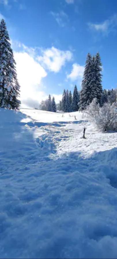 Cahute De Montagne Pour Profiter Du Haut Jura Prémanon Zewnętrze zdjęcie